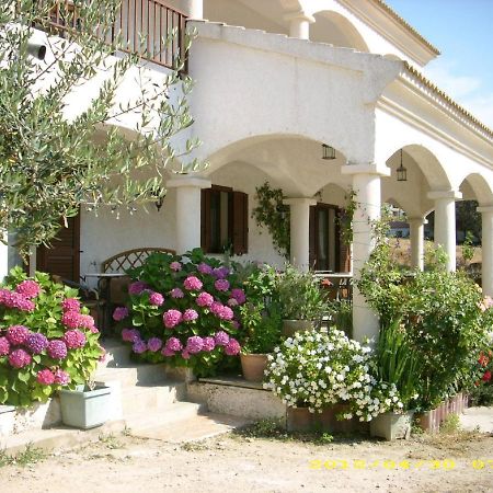 Residence U Filipaghju Galeria  Exterior photo